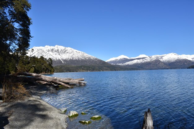 a lake with a tree stump and mountains in the background