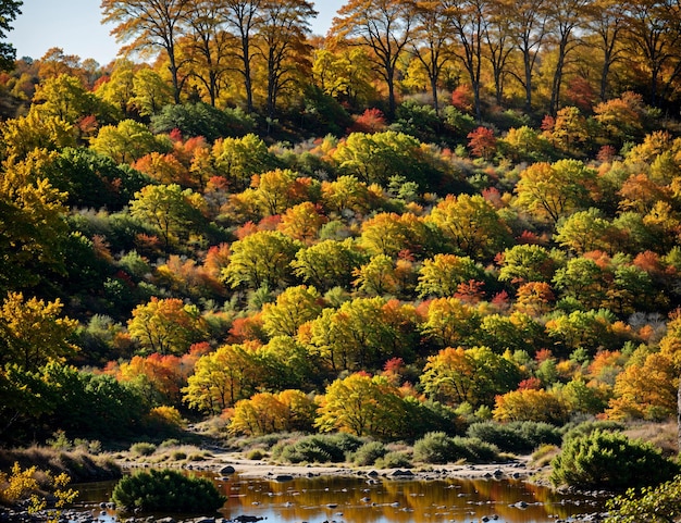 a lake with trees and a lake with fall colors