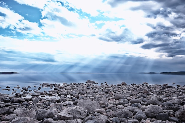 lakeside landscape summer view, nature of the north, coast ecology