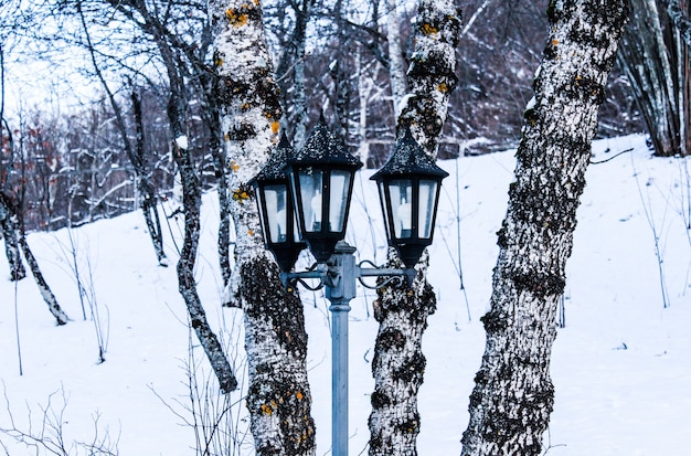 Lamp in the snow