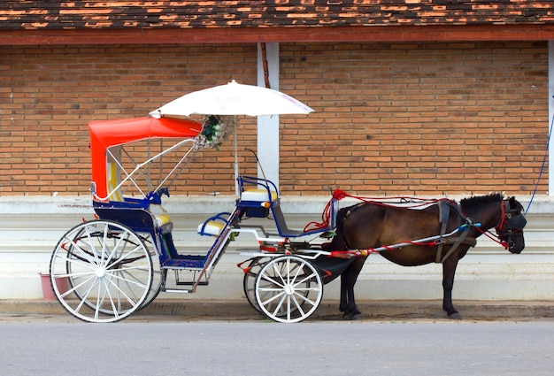 Lampang Horse Carriage