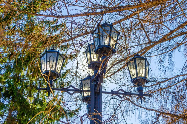 Lamppost with lamps in the park.