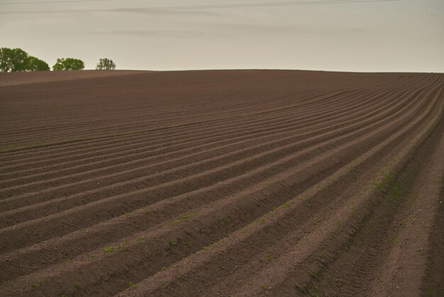 Land on the field for planting Beautiful plowed field and cloudy sky scene