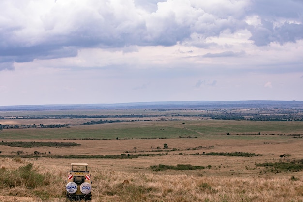 Photo landcruiser toyota van wildlife animals mammals savanna grassland maasai mara national game reserve