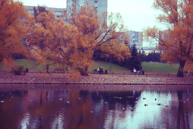 Landscape alley in autumn park