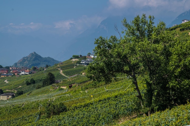 Photo landscape of the alps in switzerland in summer