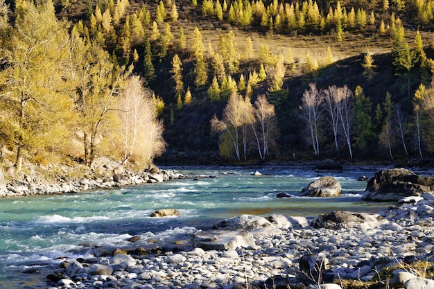 Landscape of the Altai Mountains and North Chui Ridge Chui River in Siberia Altai Republic Russia