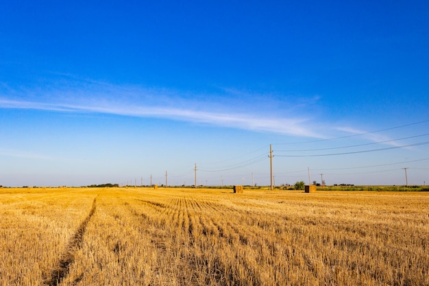 Landscape of the argentinian countryside with bales of wheat