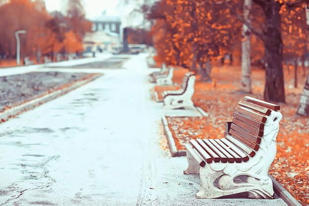 landscape in autumn park bench / beautiful garden bench, concept of rest, nobody in autumn park, landscape background, fall