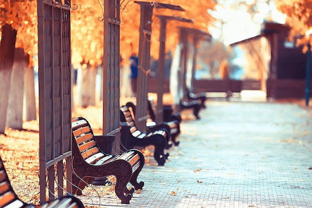 landscape in autumn park bench / beautiful garden bench, concept of rest, nobody in autumn park, landscape background, fall