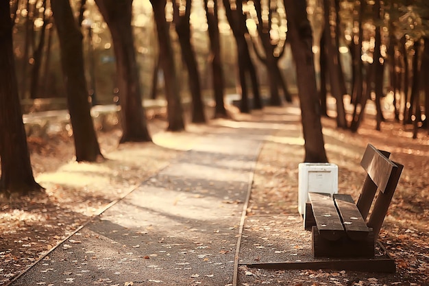 landscape in autumn park bench / beautiful garden bench, concept of rest, nobody in autumn park, landscape background, fall