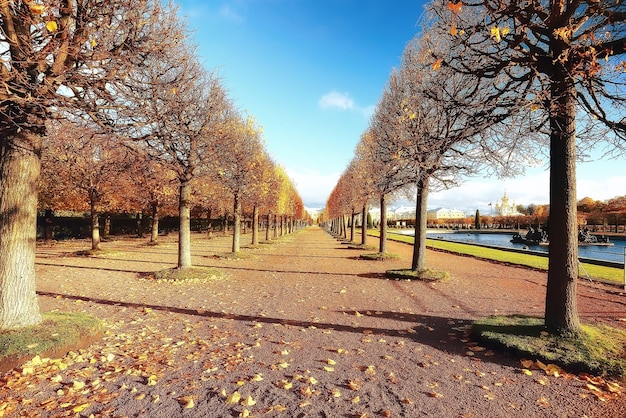 landscape autumn rays of the sun / beautiful landscape nature of Indian summer, yellow forest and sun