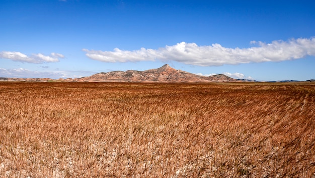 Landscape of the Bardenas desert, Tudela, Navarra, Spain