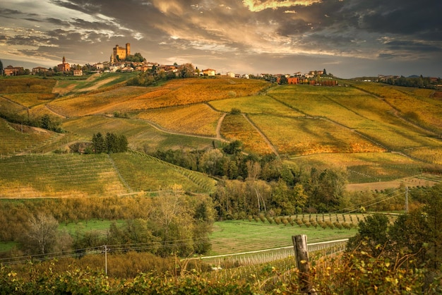 Landscape of Barolo wine Langhe zone