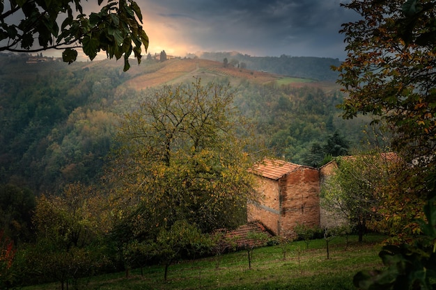 Landscape of Barolo wine region