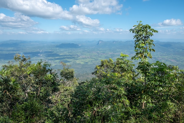 Landscape and blue sky