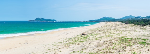 Landscape of the clear ocean and beach with grass