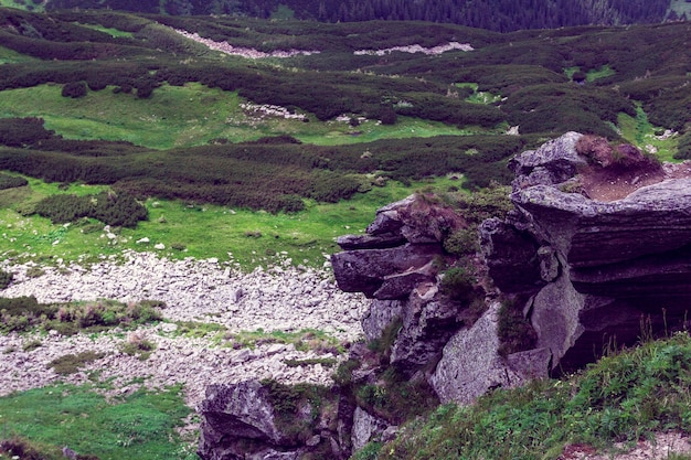 Landscape consisting of a Carpathians rocky mountains