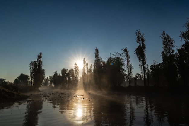 Landscape at dawn of the Xochimilco canal Mexico City