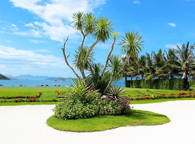 Landscape decorative bush on the background of the golf course and the sea