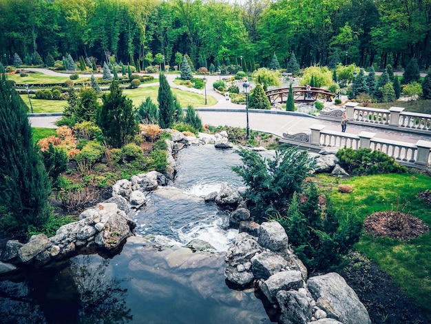 Landscape design in home garden, beautiful landscaping with pond and waterfall. Landscaped place