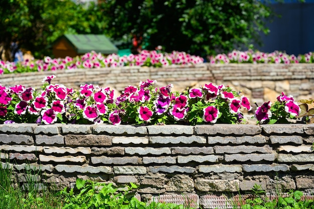 Landscape design of home garden landscaping with flowers and stone retaining walls