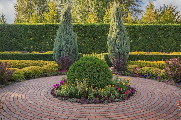 Landscape design of the park, topiary art. Trees, bushes, flower beds.