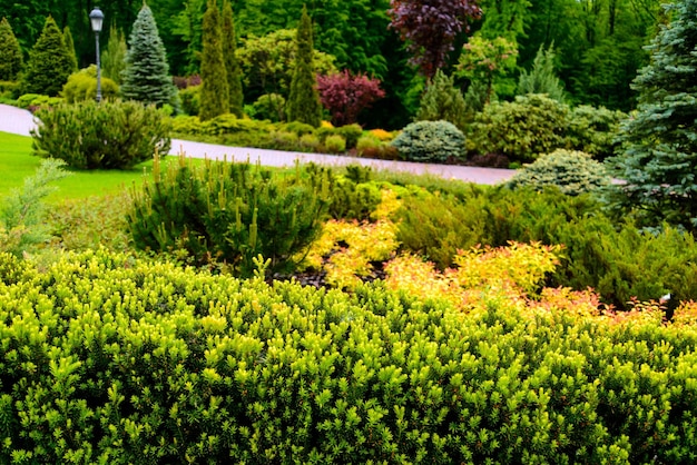 Landscape design