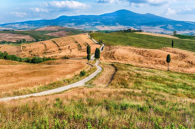 Landscape of dry fields in the countryside in Tuscany Italy