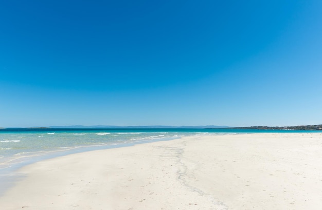 Landscape of empty tropical beach