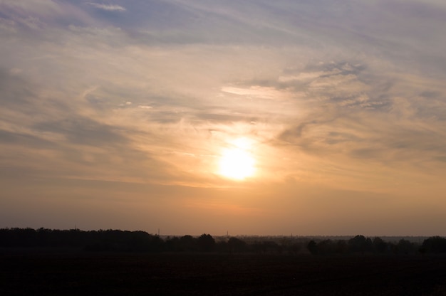 Landscape of field at sunset time