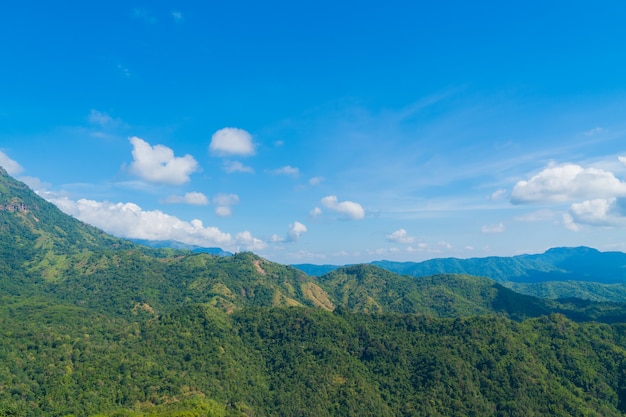 Landscape of forest and mountain.