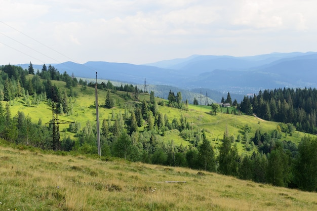 Landscape forest and mountains wires of electric mount in perspective