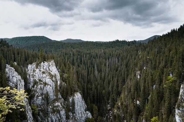 Landscape of forests and rocky hills under a stormy sky on a gloomy day