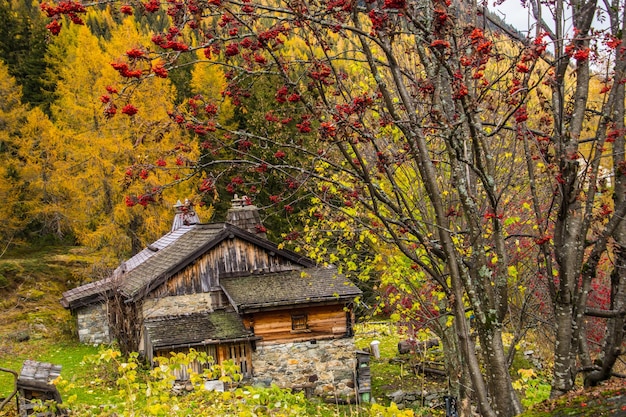 Landscape of the french alps in autumn