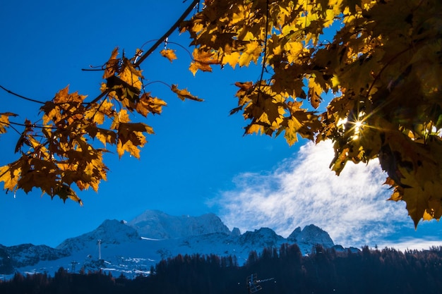 Landscape of the french alps in autumn