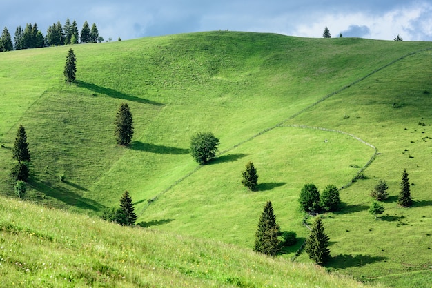 Landscape of fresh green hills in carpathian mountains in spring sunny day.