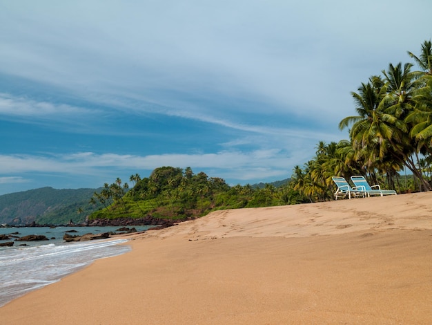 Landscape goa