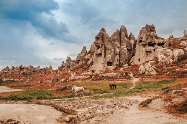 Landscape of Goreme fairy chimneys, Cappadocia.