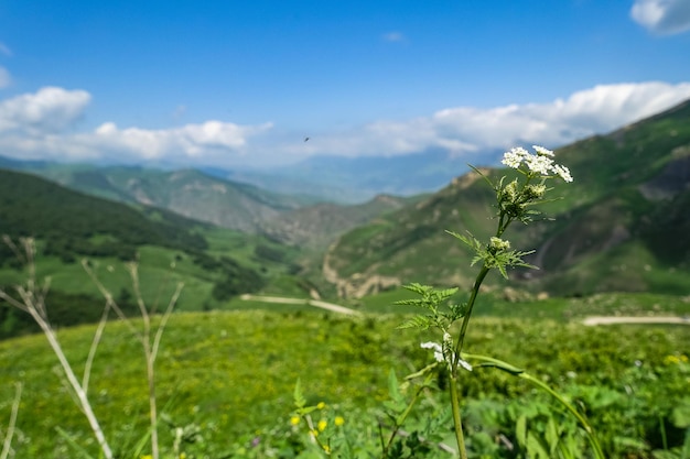 The landscape of the green Aktoprak pass in the Caucasus the road and mountains under gray clouds