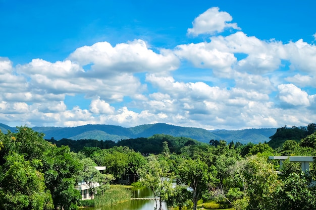 Landscape of green forest and blue sky with clouds