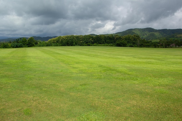 Landscape of green grass field and sky with Mountain