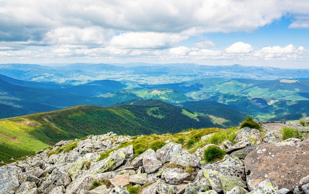 Landscape in green meadows and blooming flowers and snowcapped mountain Mountains ridge high rocky peaks Mountain landscape with hiking trail Mountain path Springtime landscape in mountains