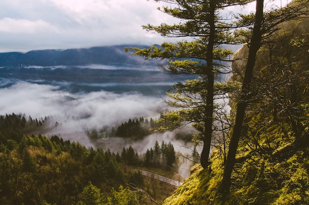 Landscape of hills covered in forests and fog under the sunlight - perfect for wallpapers