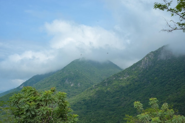 Landscape of hills at the height of the clouds covered with vegetation Colima Mexico