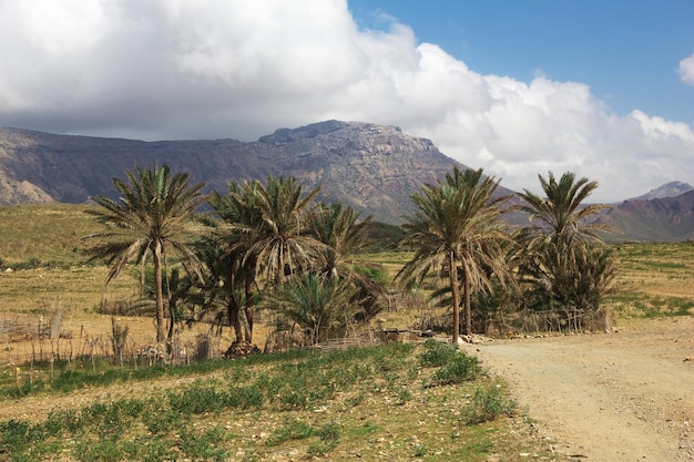 The landscape on Homhil plateau Socotra island Indian ocean Yemen