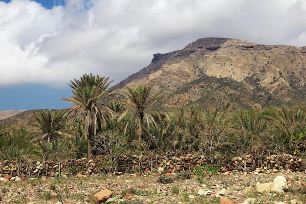 The landscape on Homhil plateau Socotra island Indian ocean Yemen