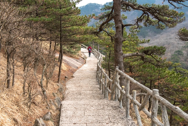 Landscape of Huangshan, mountain range in southern Anhui province in eastern China.