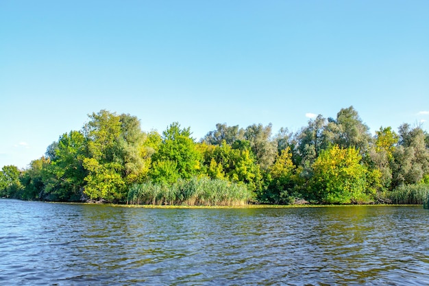 Landscape image of a large river shore vegetation