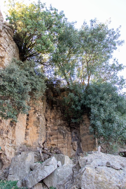 Landscape of Kesra Siliana Tunisia